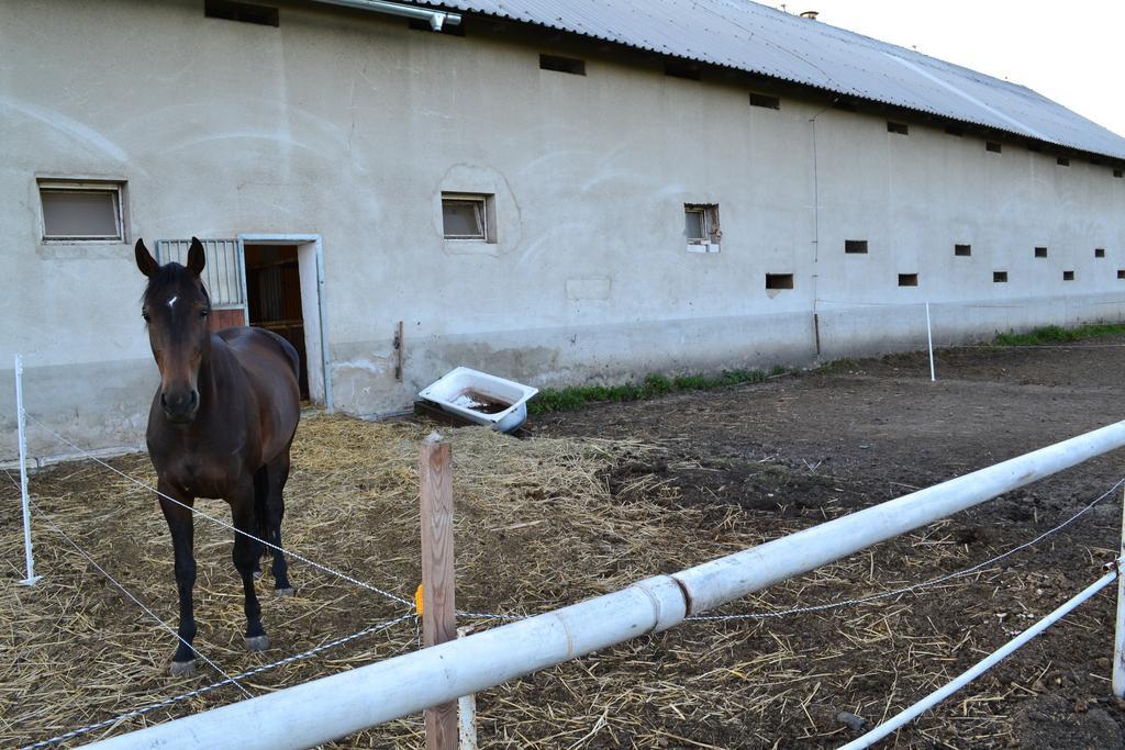 Penzion Eqilon Hotel Mělník Eksteriør billede